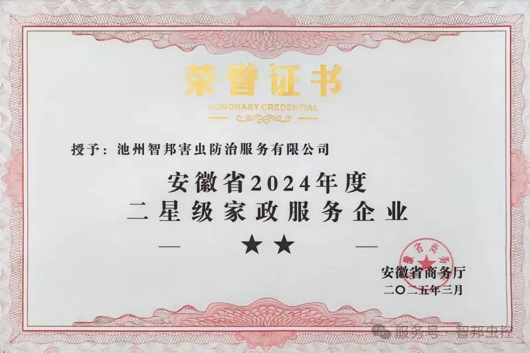 ​向榜样看齐，共筑服务新高度