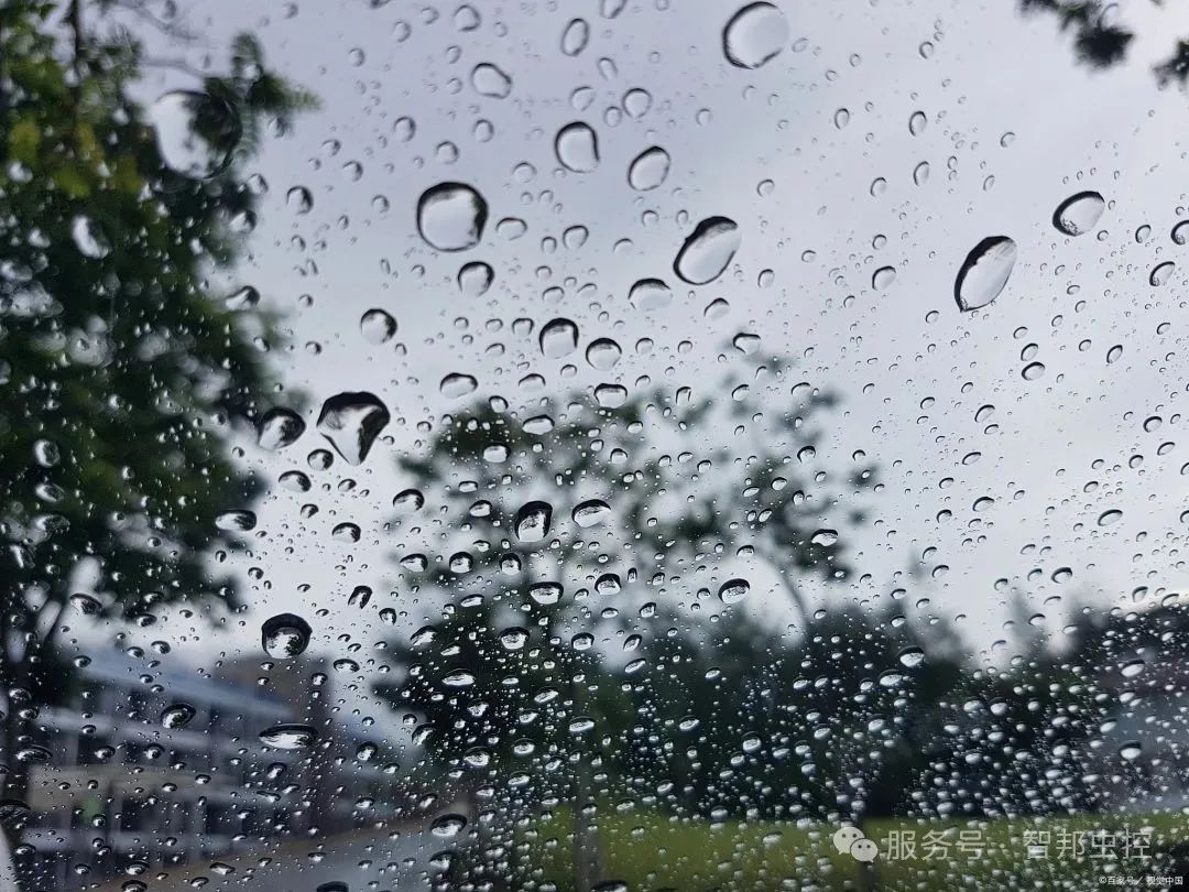 雨季蚊子大作战！智邦虫控为您守护清爽夏天
